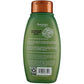 Aveeno Shampoo Fresh Greens Blend Refesh & Thicken 12 Ounce (Pack of 6)