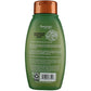 Aveeno Shampoo Fresh Greens Blend Refesh & Thicken 12 Ounce (Pack of 6)