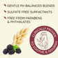 OGX Aveeno Color Protect Strengthen+ Blackberry Quinoa Shampoo, Fresh, 12 Fl Oz (Pack of 2)