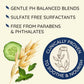 Aveeno Fresh Greens Blend Natural Volumizing Conditioner, Cucumber, Rosemary, for Fine Hair, 12 fl oz (Pack of 2)