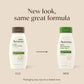 Aveeno Daily Moisturizing Body Wash, 12 Fl Oz
