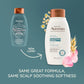 Aveeno Rose Water & Chamomile Shampoo for Dry Hair, Hydrating, 12 fl oz