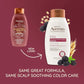 OGX Aveeno Color Protect Strengthen+ Blackberry Quinoa Shampoo, Fresh, 12 Fl Oz (Pack of 2)