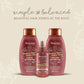 Aveeno Color Protect & Strengthen+ Blackberry & Quinoa Conditioner and Shampoo Set - Fresh Scent, 12 Fl Oz Each